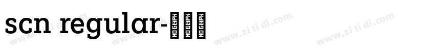 scn regular字体转换